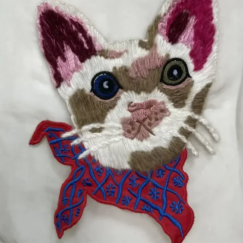 What Is Wool-Thread Embroidery? Process Principles, Yarn Specifications and Selection Guide